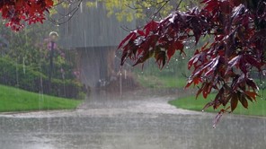 Καιρός: Με ισχυρές βροχές το απόγευμα η Κυριακή στα Τρίκαλα 