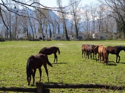 Από την Ιπποτούρ στα υδροπλάνα