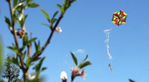 Με λιακάδα και ανέμους 5 μποφόρ το πέταγμα του χαρταετού στα Τρίκαλα 