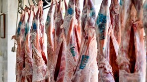 Θεσσαλία: Mεγάλη αύξηση τιμών φέτος το Πάσχα στα αμνοερίφια 
