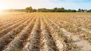 "Kαίει" τα χωράφια της Θεσσαλίας η κλιματική κρίση - Φέρνει αυξήσεις στα προϊόντα