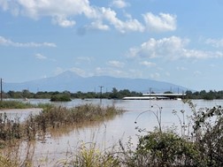 Πνίγηκαν 450 ζώα σε μονάδα στην Τερψιθέα Λάρισας