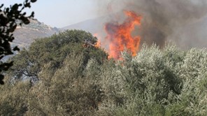 Yψηλή επικινδυνότητα για πυρκαγιές στη Θεσσαλία - Σε επιφυλακή η Πυροσβεστική 