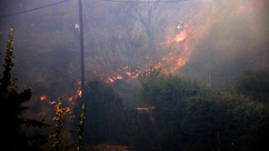 Ολονύχτια μάχη με τις φλόγες στην Μαγνησία - Δύο μέτωπα σε εξέλιξη