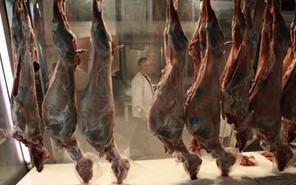 Θεσσαλία: Βελτιώνονται τις τελευταίες μέρες οι τιμές παραγωγού στα ντόπια αρνιά 