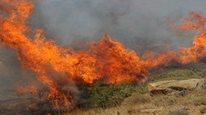 Εκκενώνεται το Σέσκλο από τη μεγάλη φωτιά - Κοντά στα σπίτια οι φλόγες στο Βελεστίνο