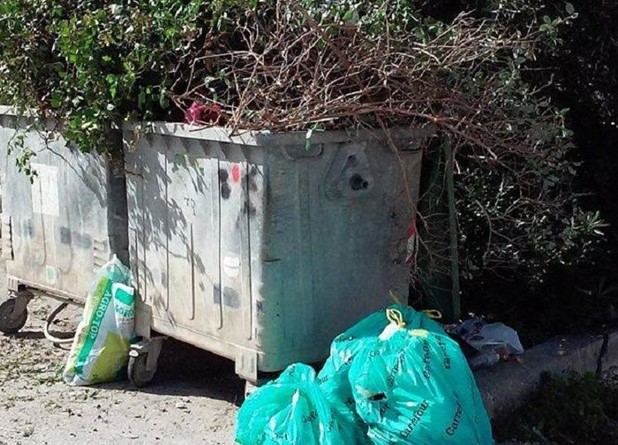 Παράκληση για τα κλαδιά στους κάδους απορριμμάτων