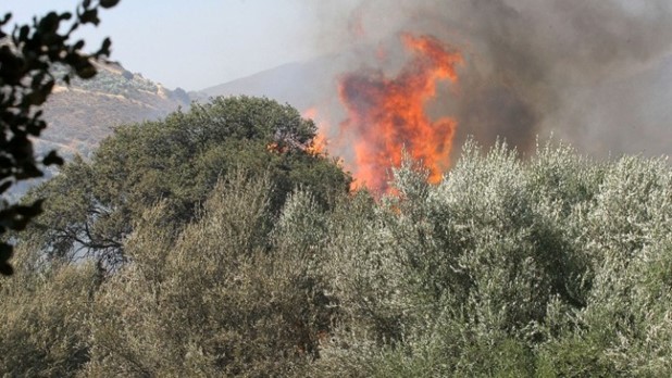 Yψηλή επικινδυνότητα για πυρκαγιές στη Θεσσαλία - Σε επιφυλακή η Πυροσβεστική 